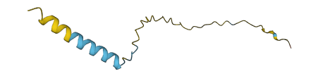 SPANXN5 3D structure