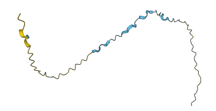 SPANXN4 3D structure