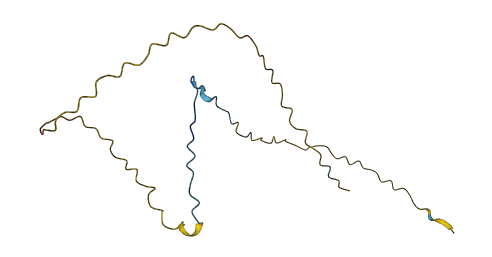 SPANXN3 3D structure