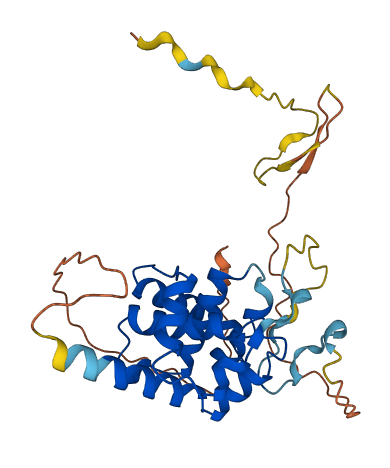 SPDYC 3D structure