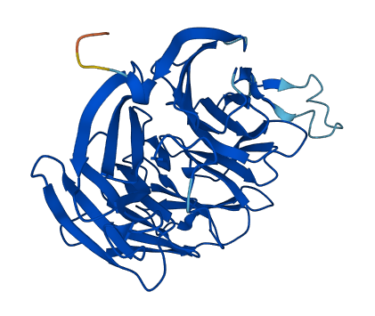 WDR45B 3D structure