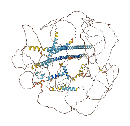 Crad 3D structure