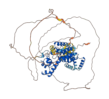 SAMD4B 3D structure