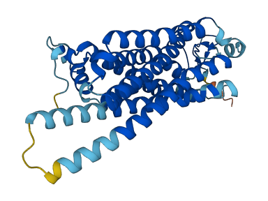 Taar8a 3D structure