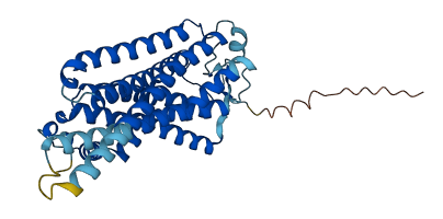 Taar7b 3D structure