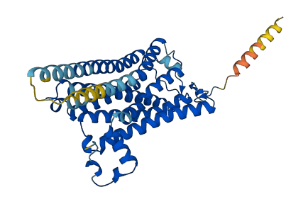 Taar7a 3D structure
