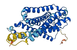 Taar4 3D structure