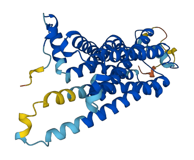 Taar3 3D structure