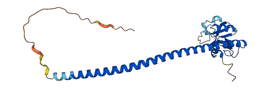 CLEC12A 3D structure