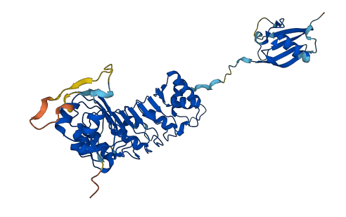 TBCEL 3D structure