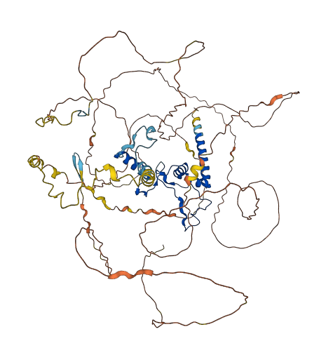 DNTTIP2 3D structure