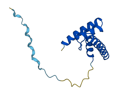 HIST2H2BF 3D structure