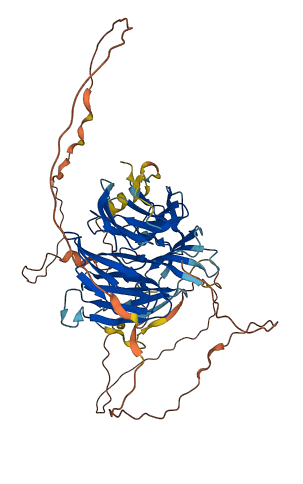 DCAF10 3D structure