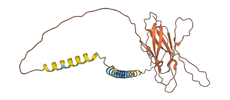 Gm11437 3D structure