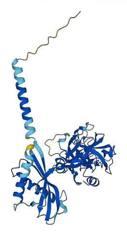 Tmprss11g 3D structure