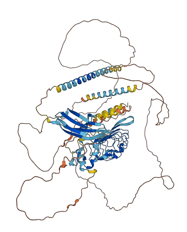 ELFN2 3D structure