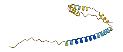 FAM74A1 3D structure