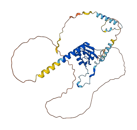 RBM48 3D structure