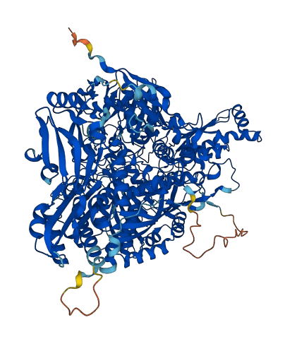 Aox2 3D structure
