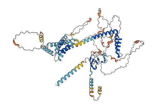 TMEM201 3D structure