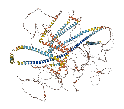 C1orf167 3D structure