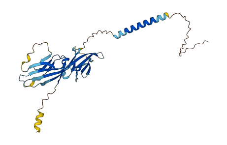 LY6G6F 3D structure
