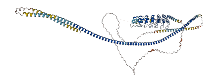 ANKRD20A2 3D structure