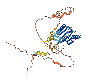C6orf136 3D structure