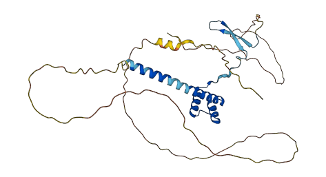 VAX1 3D structure