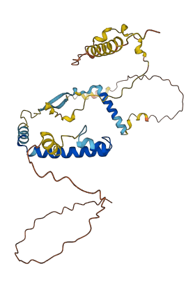 C10orf120 3D structure