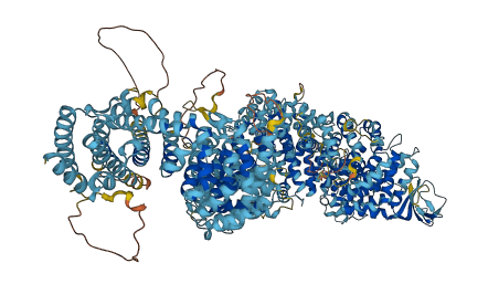 NUP188 3D structure