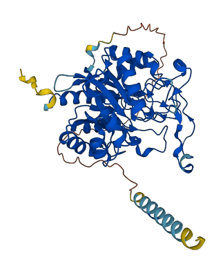 MANEA 3D structure