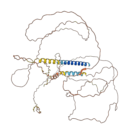 TSBP1 3D structure