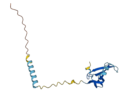 LY6G5C 3D structure