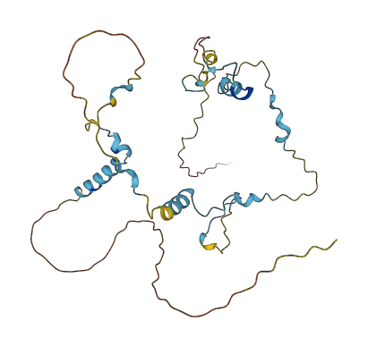 Gm11992 3D structure