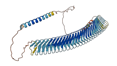 MUC21 3D structure