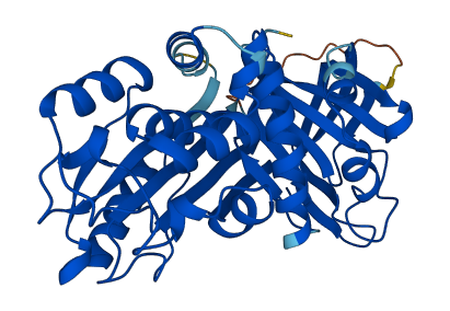 Serpinb1c 3D structure