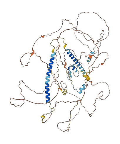 DACT2 3D structure