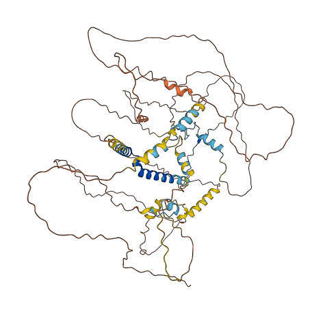 PPP1R15B 3D structure