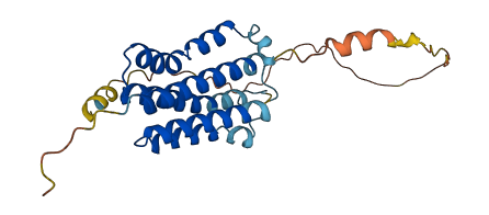 TMEM69 3D structure