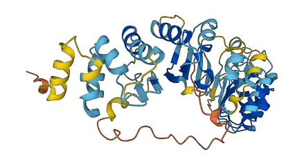 PRAMEF14 3D structure