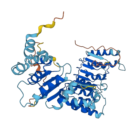 PRAMEF19 3D structure