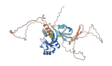 PLEKHS1 3D structure