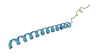 COL5A1-AS1 3D structure