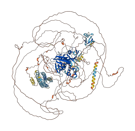 FRMPD1 3D structure