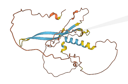C6orf141 3D structure