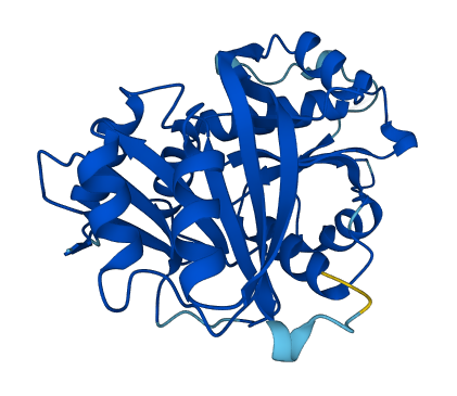GLYATL3 3D structure