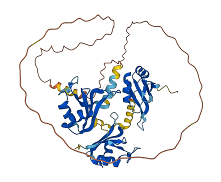 CELF3 3D structure