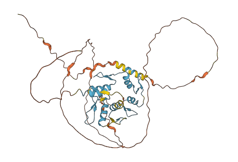 ZNF362 3D structure