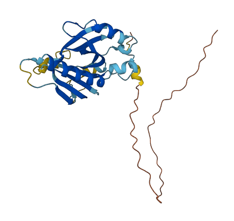 TPRG1L 3D structure